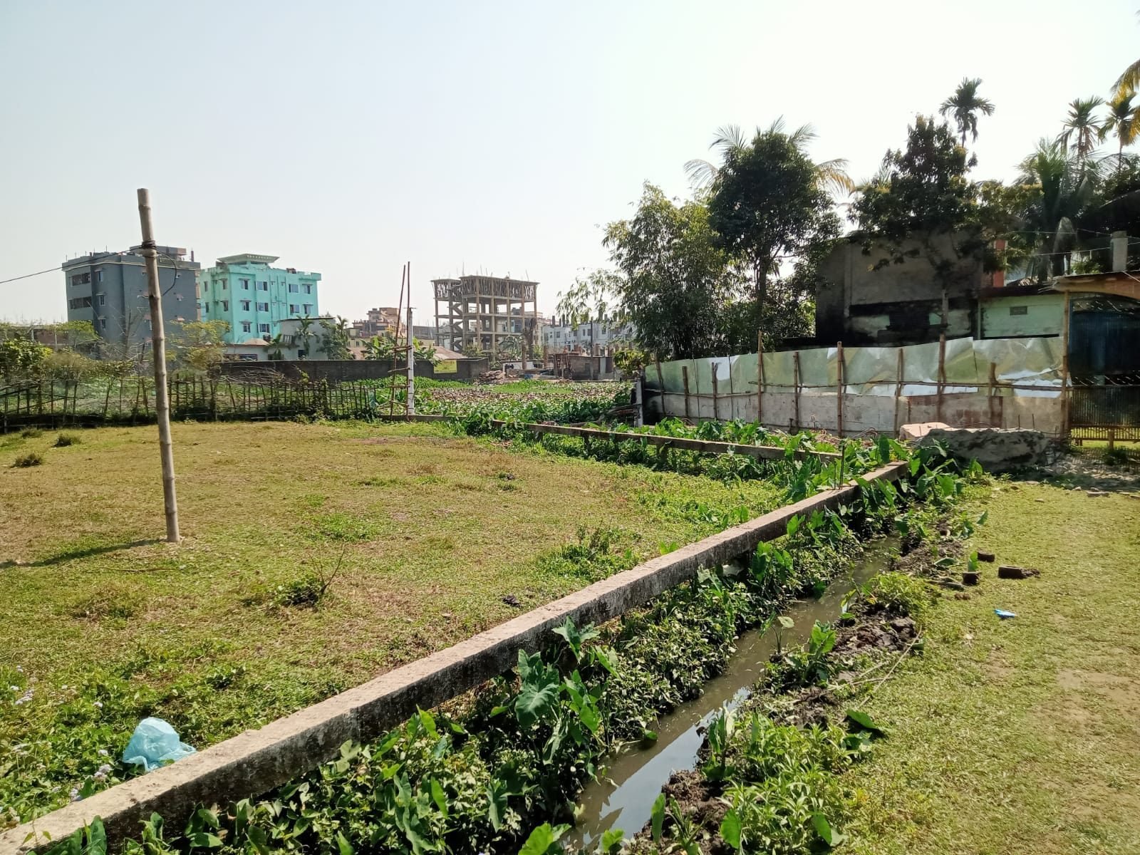 নদীতীরের প্লট