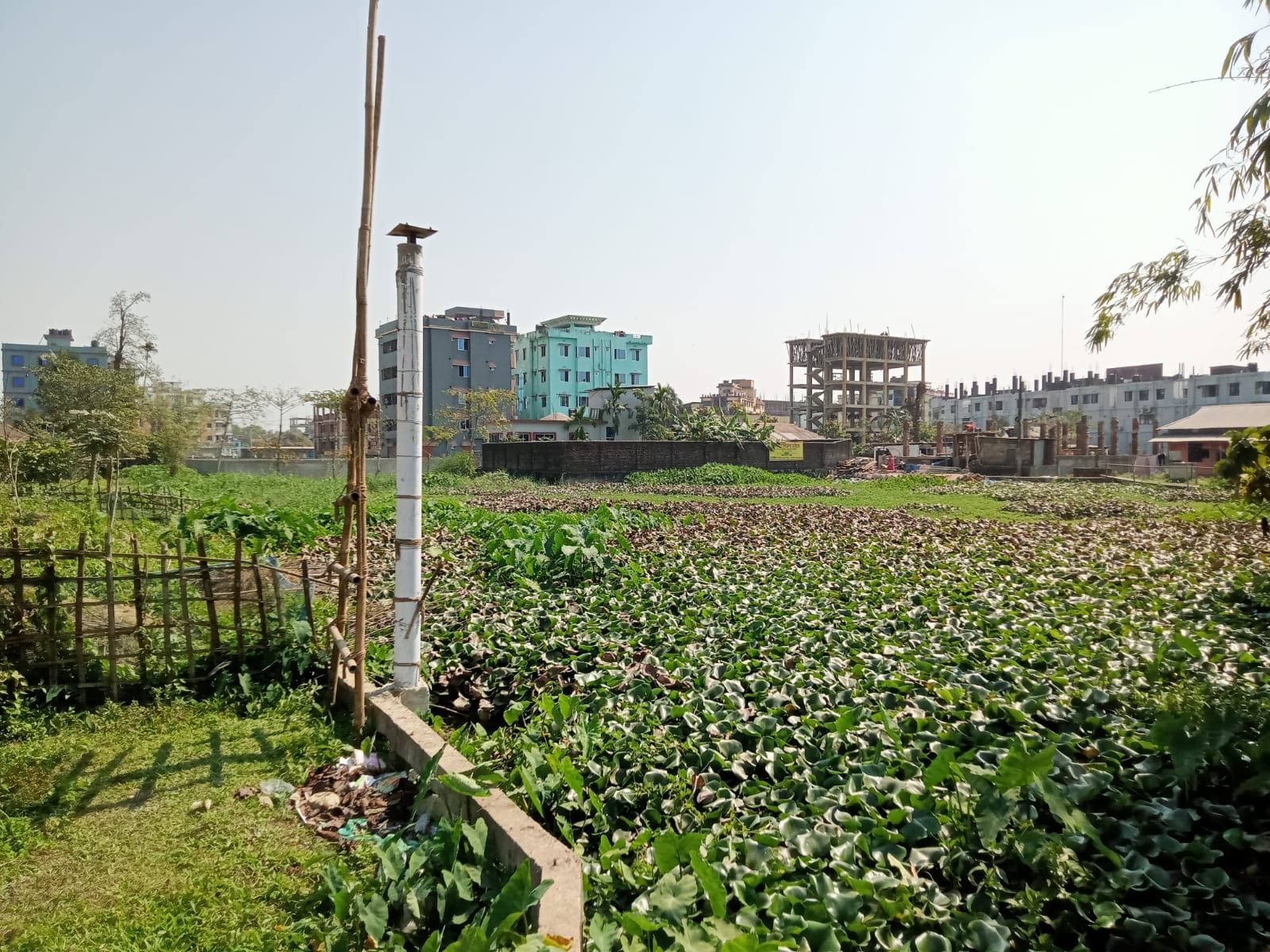হস্তান্তর ও রেজিস্ট্রেশন
