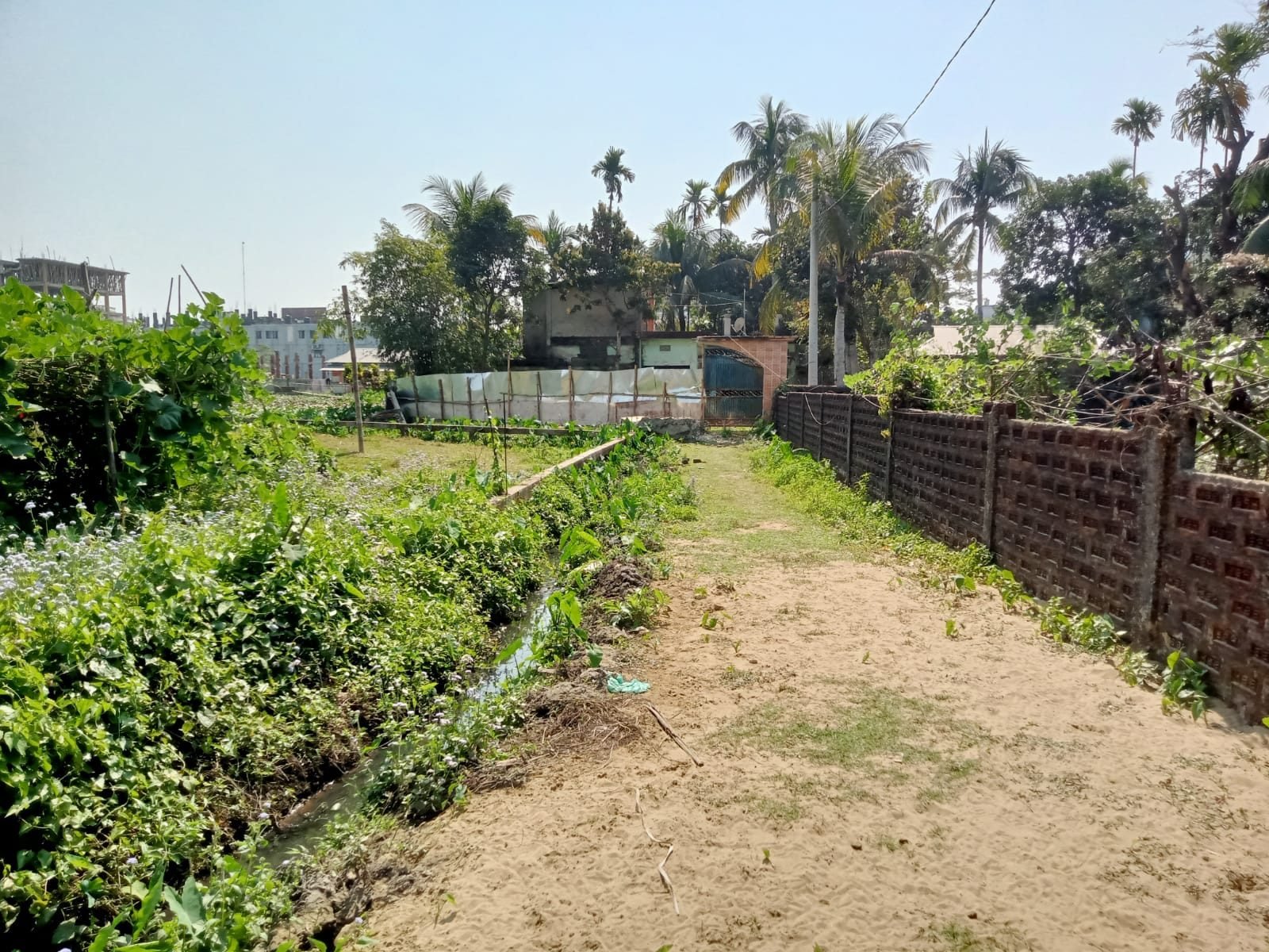 অভ্যন্তরীণ রাস্তা