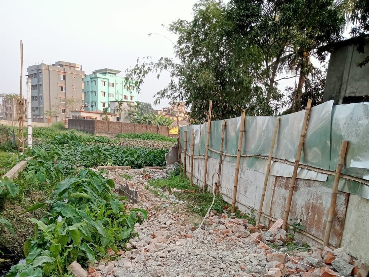 প্লট বিন্যাস ও জরিপ